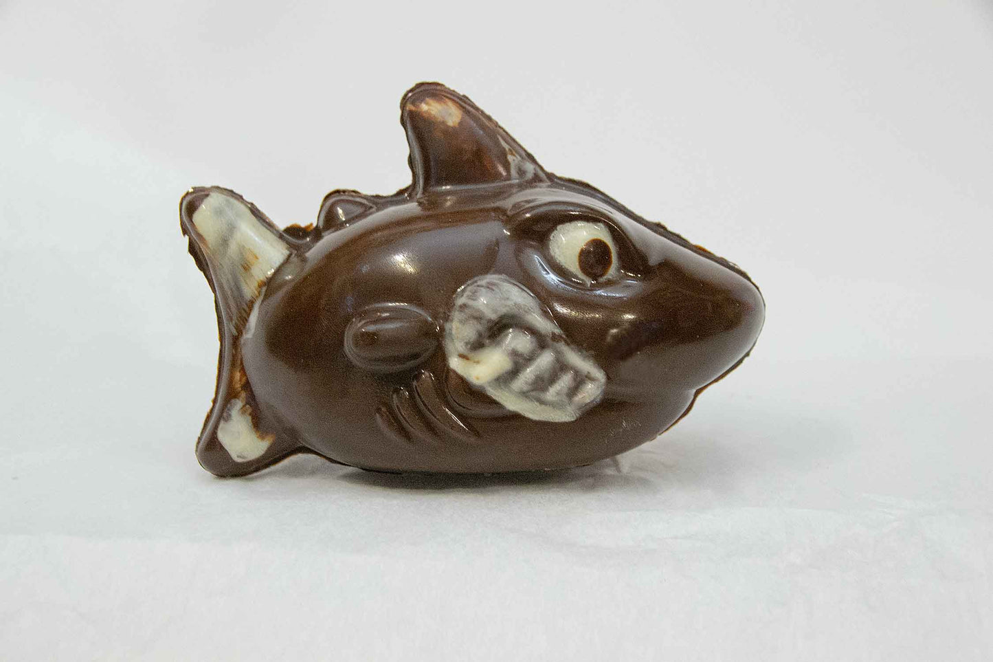 Kevin le requin