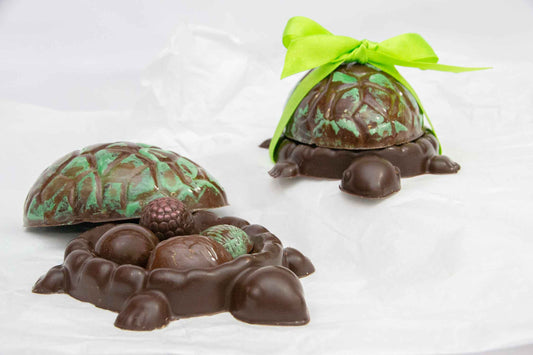 Oeuf tortue